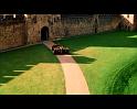 PDVD_1142