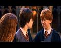 PDVD_1199