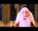 PDVD_1387
