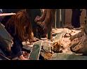 PDVD_1436