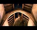 PDVD_1466