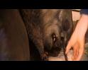 PDVD_1479