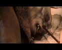 PDVD_1480
