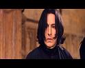 PDVD_1498