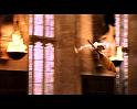 PDVD_1537