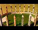 PDVD_1577