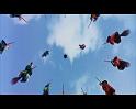 PDVD_1605