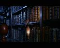 PDVD_1814