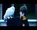 PDVD_1861