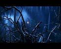 PDVD_1985