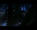 PDVD_2021