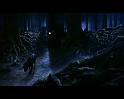 PDVD_2023