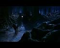 PDVD_2024
