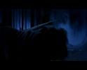 PDVD_2044