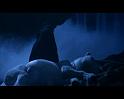 PDVD_2047