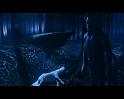 PDVD_2084