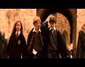 PDVD_2116