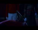 PDVD_2184