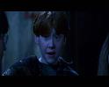 PDVD_2198