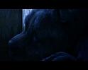 PDVD_2230