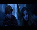PDVD_2240
