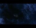 PDVD_2242