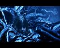PDVD_2281