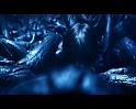 PDVD_2287