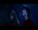 PDVD_2293