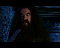 PDVD_268