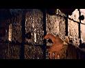 PDVD_494