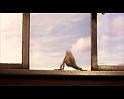 PDVD_662