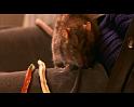 PDVD_678