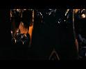 PDVD_705