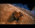 PDVD_728