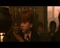 PDVD_989