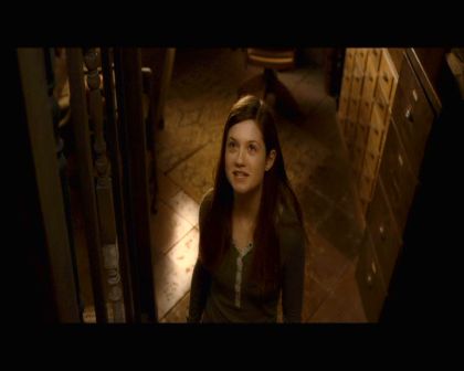 PDVD_337.jpg
