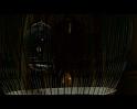 PDVD_1131