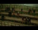 PDVD_1207