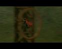 PDVD_1211