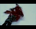 PDVD_1362