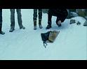 PDVD_1393