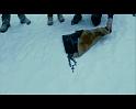 PDVD_1394