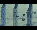 PDVD_1662