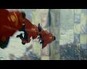 PDVD_1684