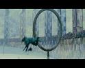 PDVD_1695