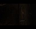 PDVD_1821