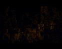PDVD_2061