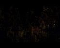 PDVD_2062
