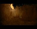 PDVD_2100